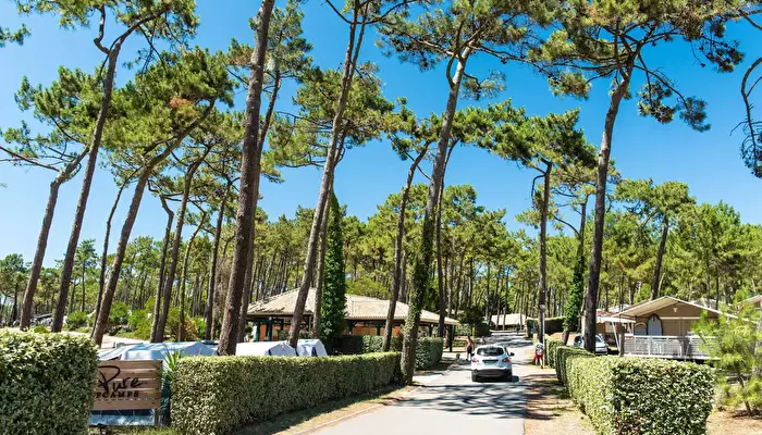 Camping Campéole Les Tourterelles - MS Vacances.