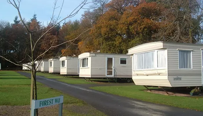 Camping Forest Glade Holiday Park.