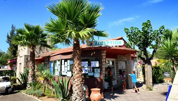 Camping Les Palmiers - Tikayan.