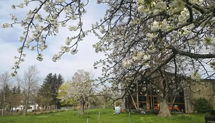 Camping Mio Made In Ottendorf.