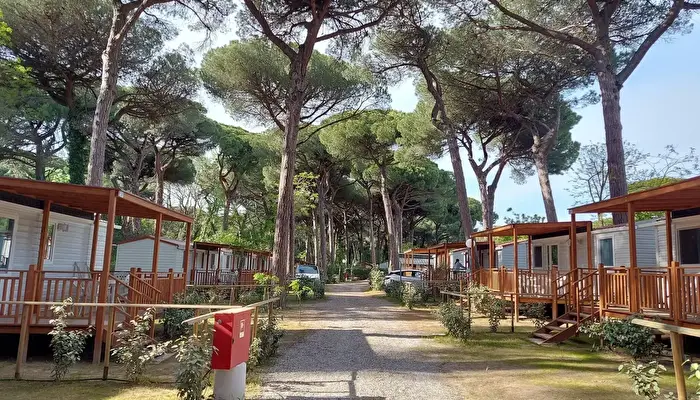 Camping Piomboni.