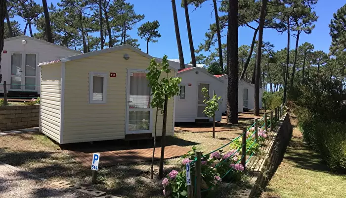 Camping São Pedro De Moel - Orbitur.