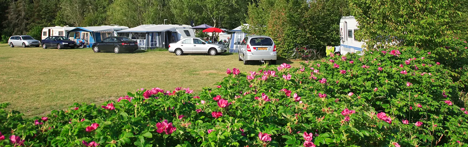 Lokalita Abc Camping / Hampen Camping