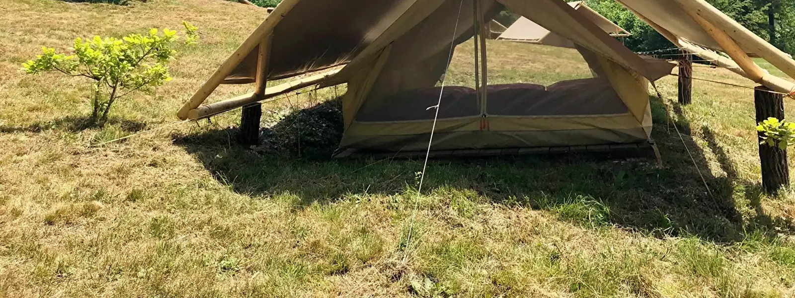 Tent Adrenaline Check Camping