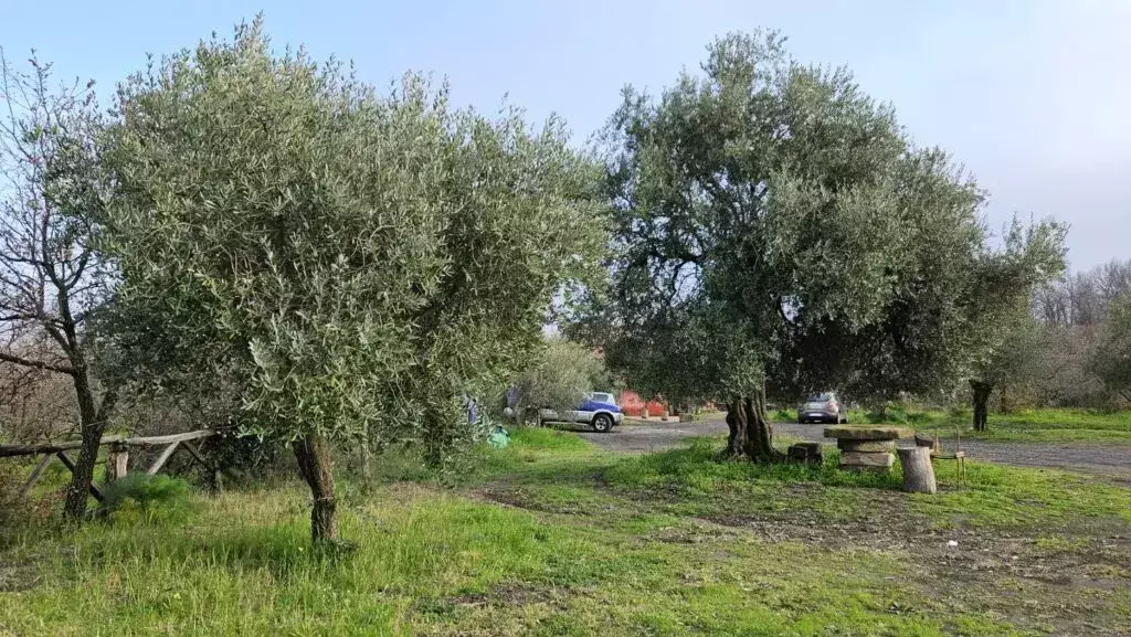 Parkoló Agricampeggio Friera