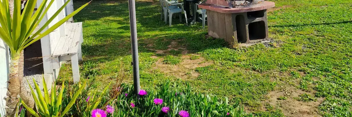 Bbq Agricamper Gioia Selvaggia E Fabio