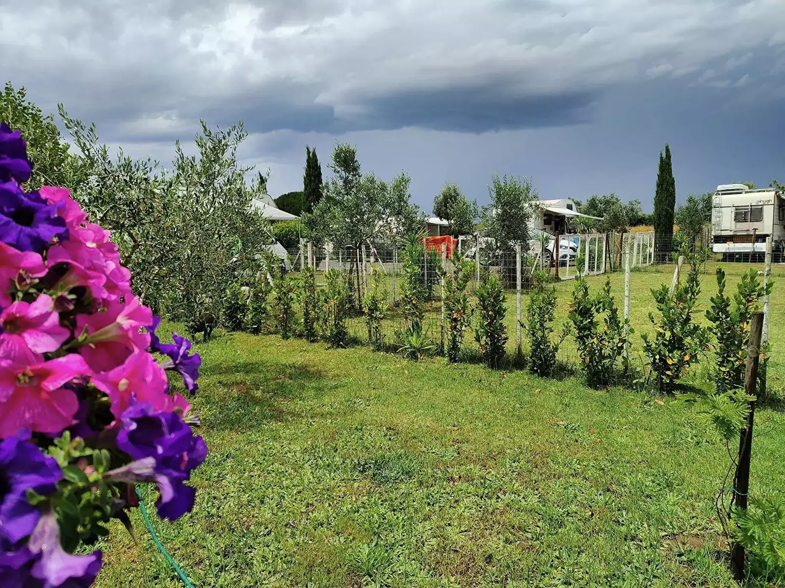 Pálya Agricamper Gioia Selvaggia E Fabio