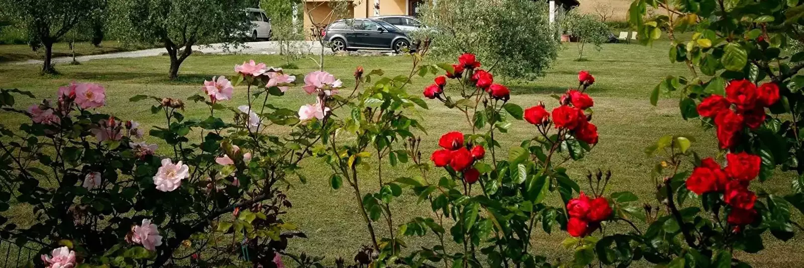 Cottage-Holiday Home Agriturismo Ai Linchi
