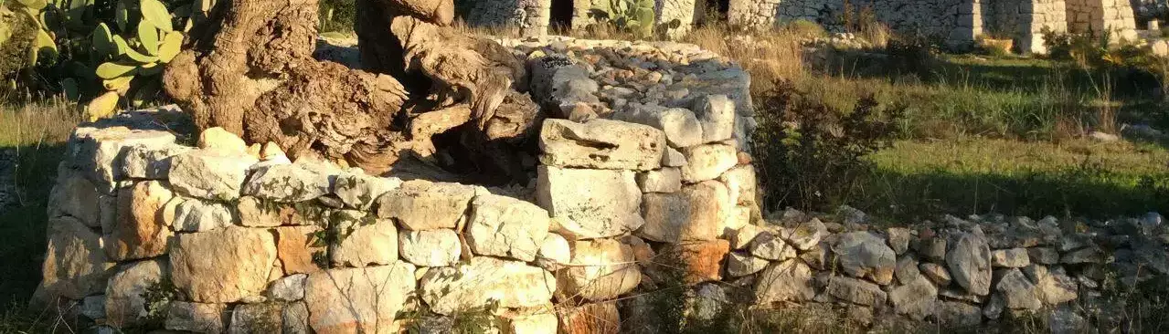 Helyszín áttekintés Agriturismo L'Upupa
