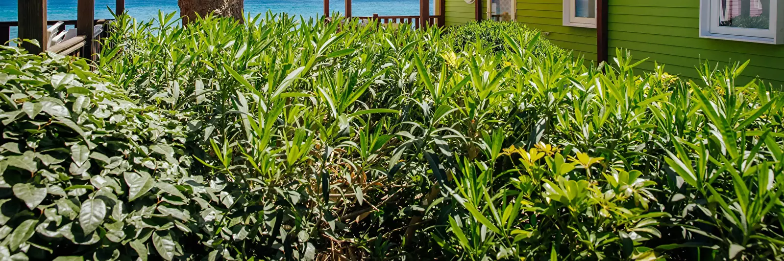 Casa Mobile Alannia Costa Dorada
