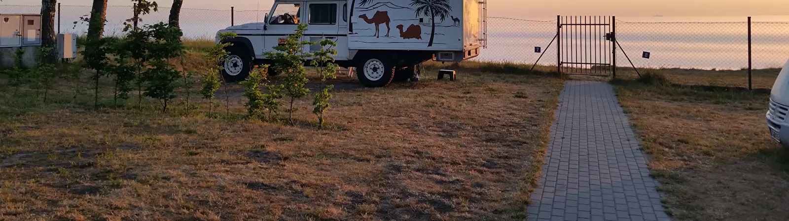 Pitch Alexa Camping