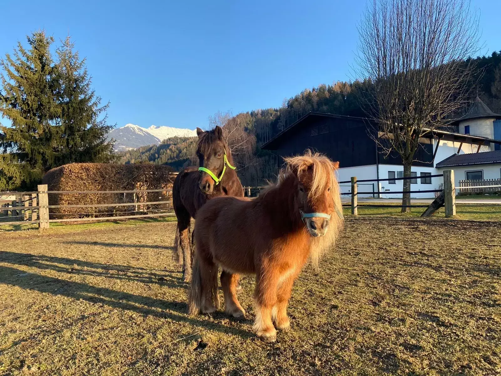 Obecné Alpencamping Mark
