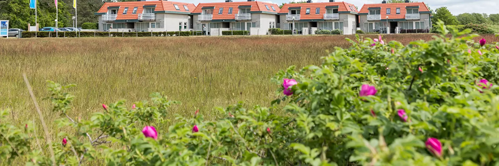 Chalet-Bungalow App.complex Bosch en Zee - Roompot