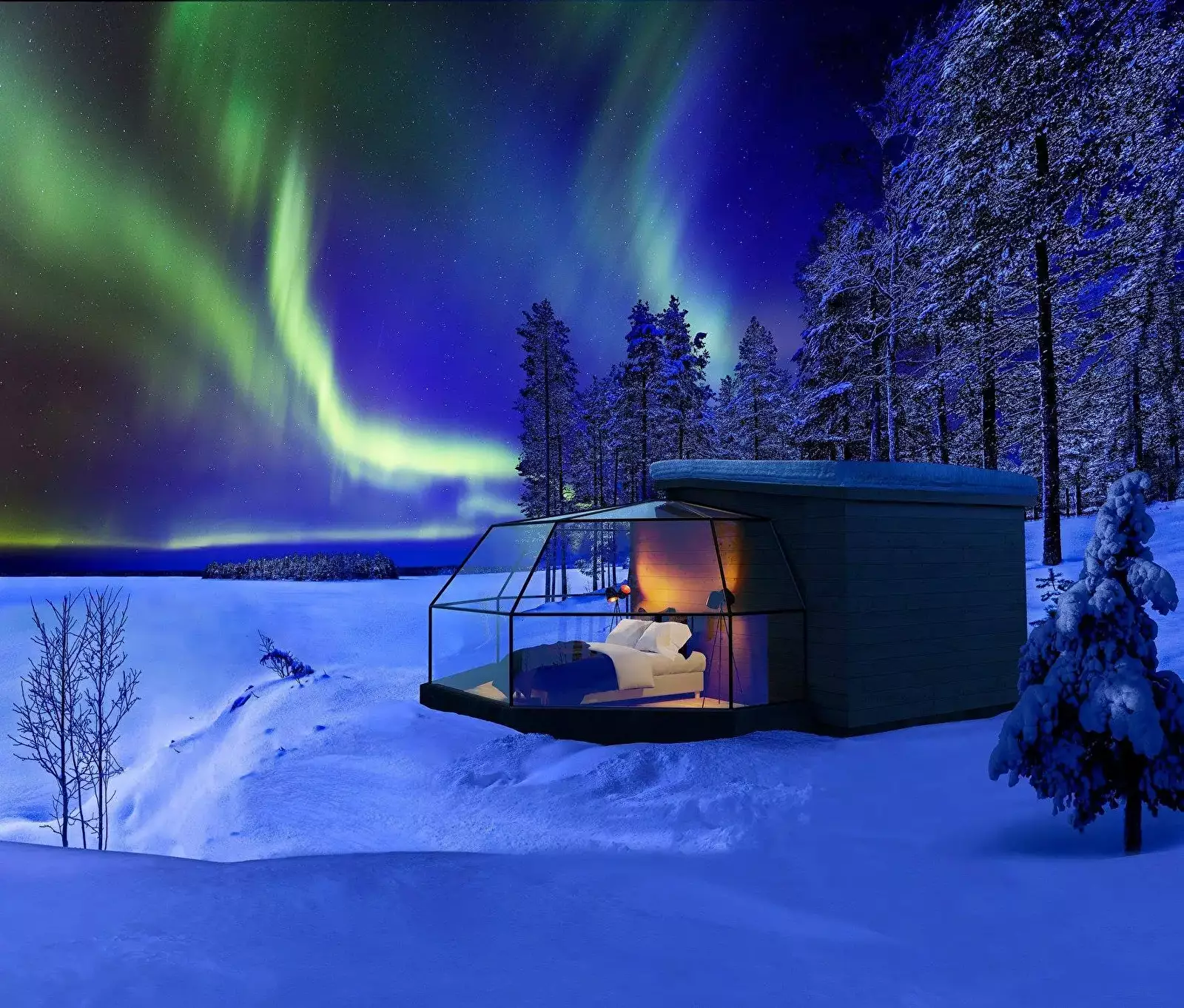 Geodesic dome tent Arctic Fox Igloos