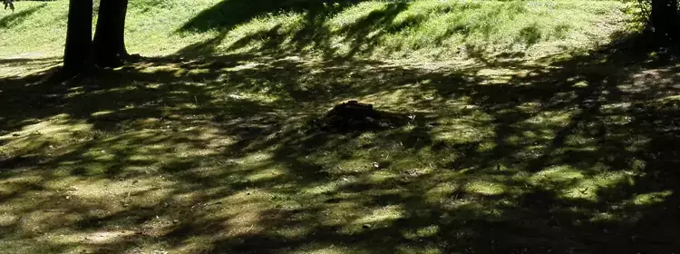 Mobilní dům Autocamping Luhacovice
