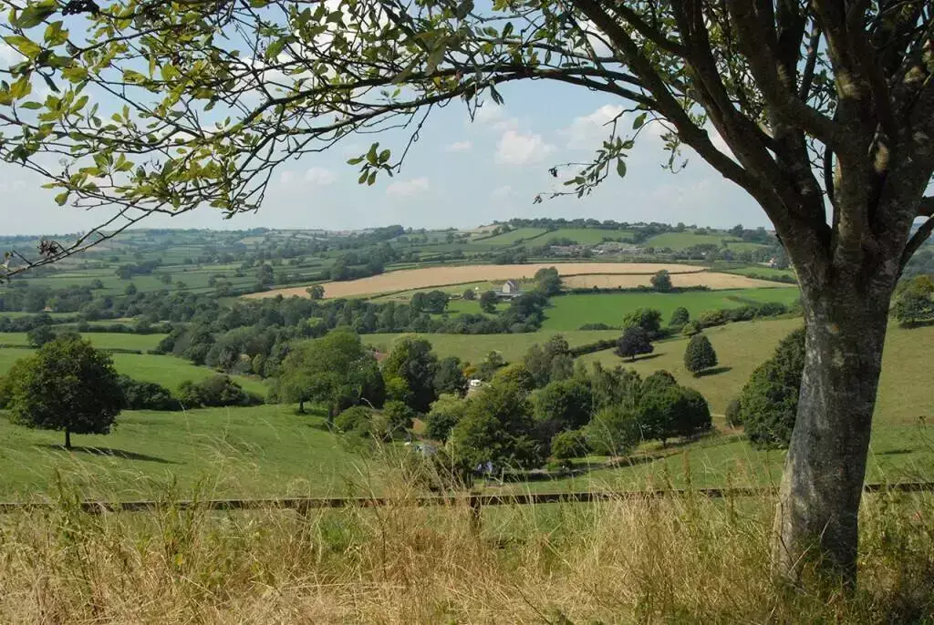 Vue Batcombe Vale Campsite