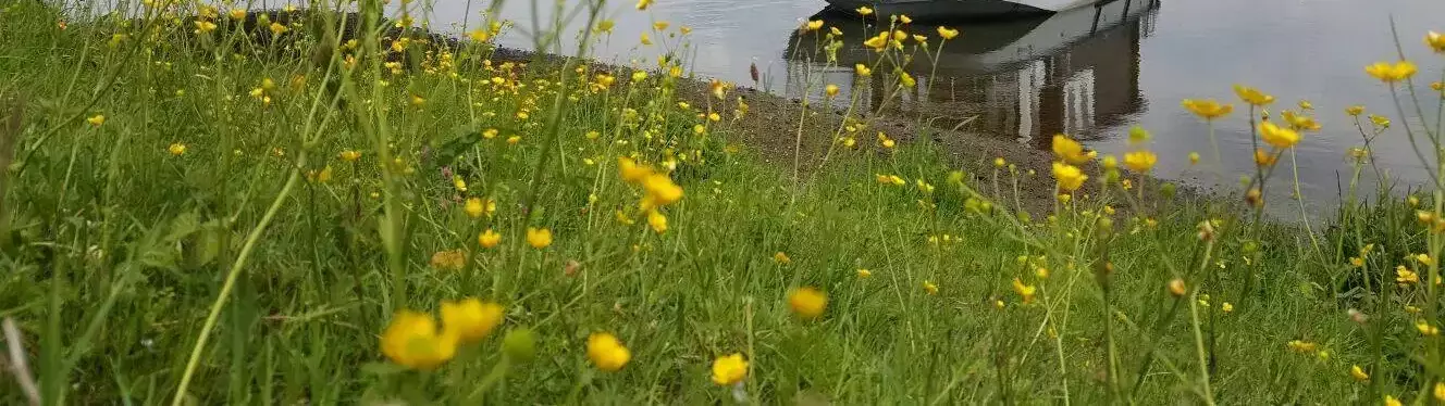 Houseboat Blokhutboot