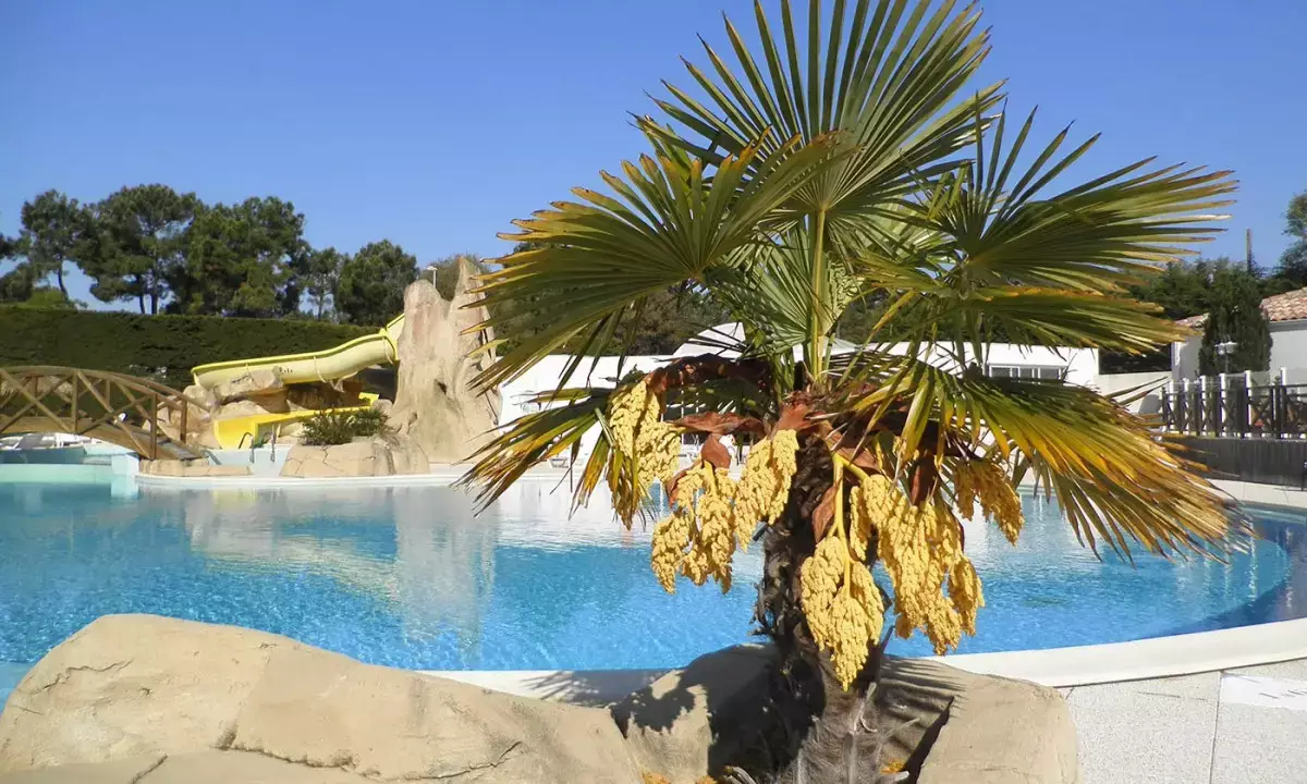 Algemeen Bontempo Village La Yole