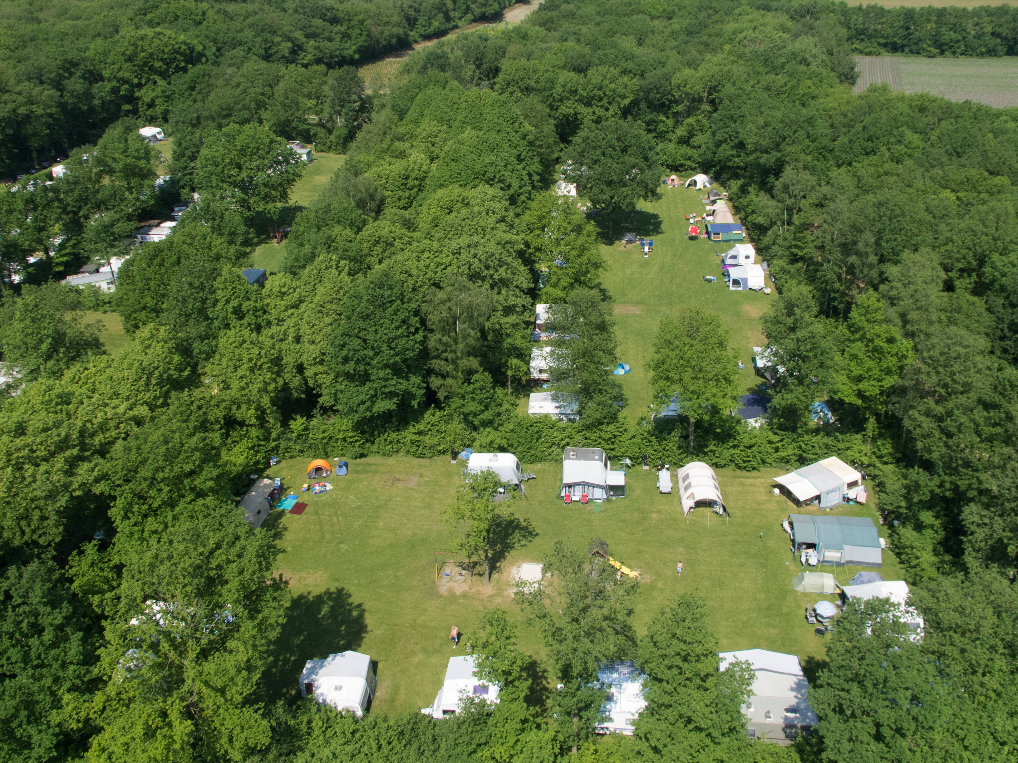 Boscamping Zwanemeer in Gieten, Nederland (2024) Boek jouw camping op