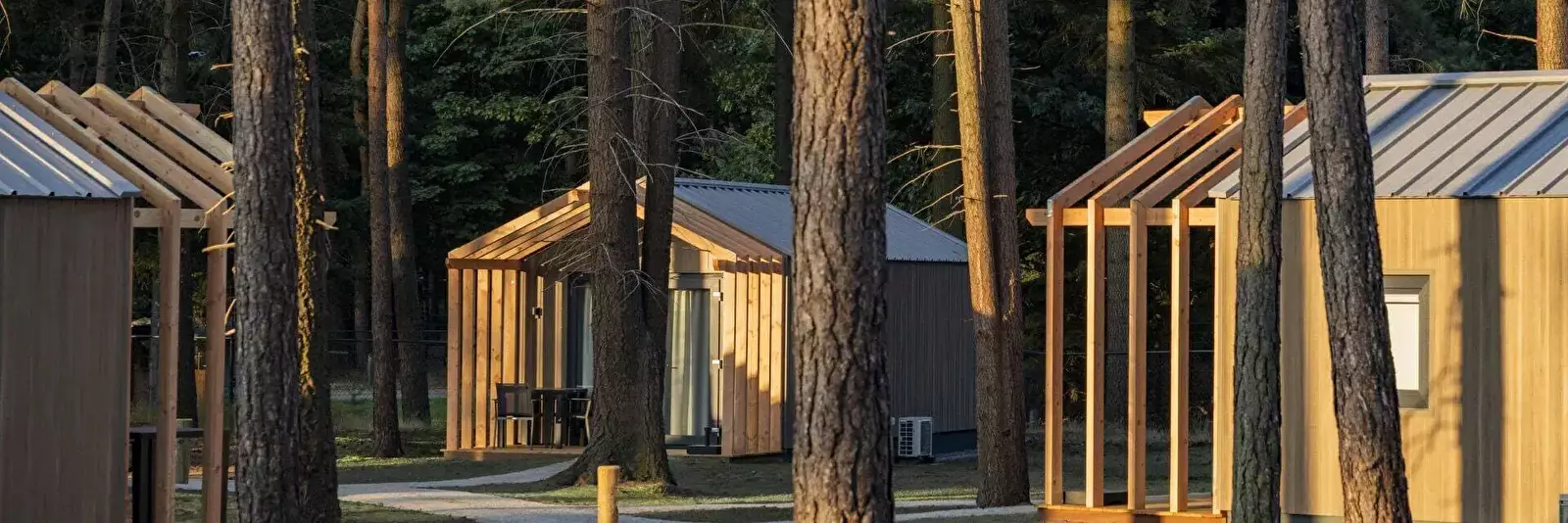 Chata - Rekreační dům Bospark 't Wolfsven - Roompot