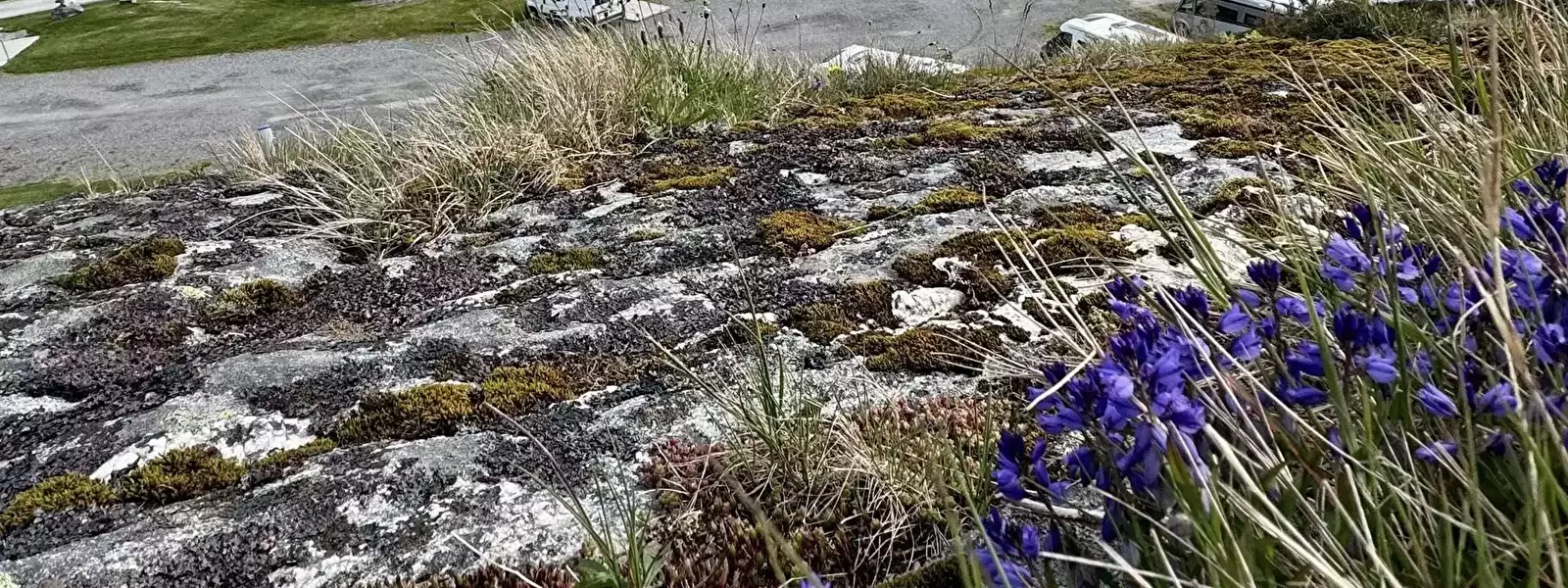 Přehled lokalit Bud Camping