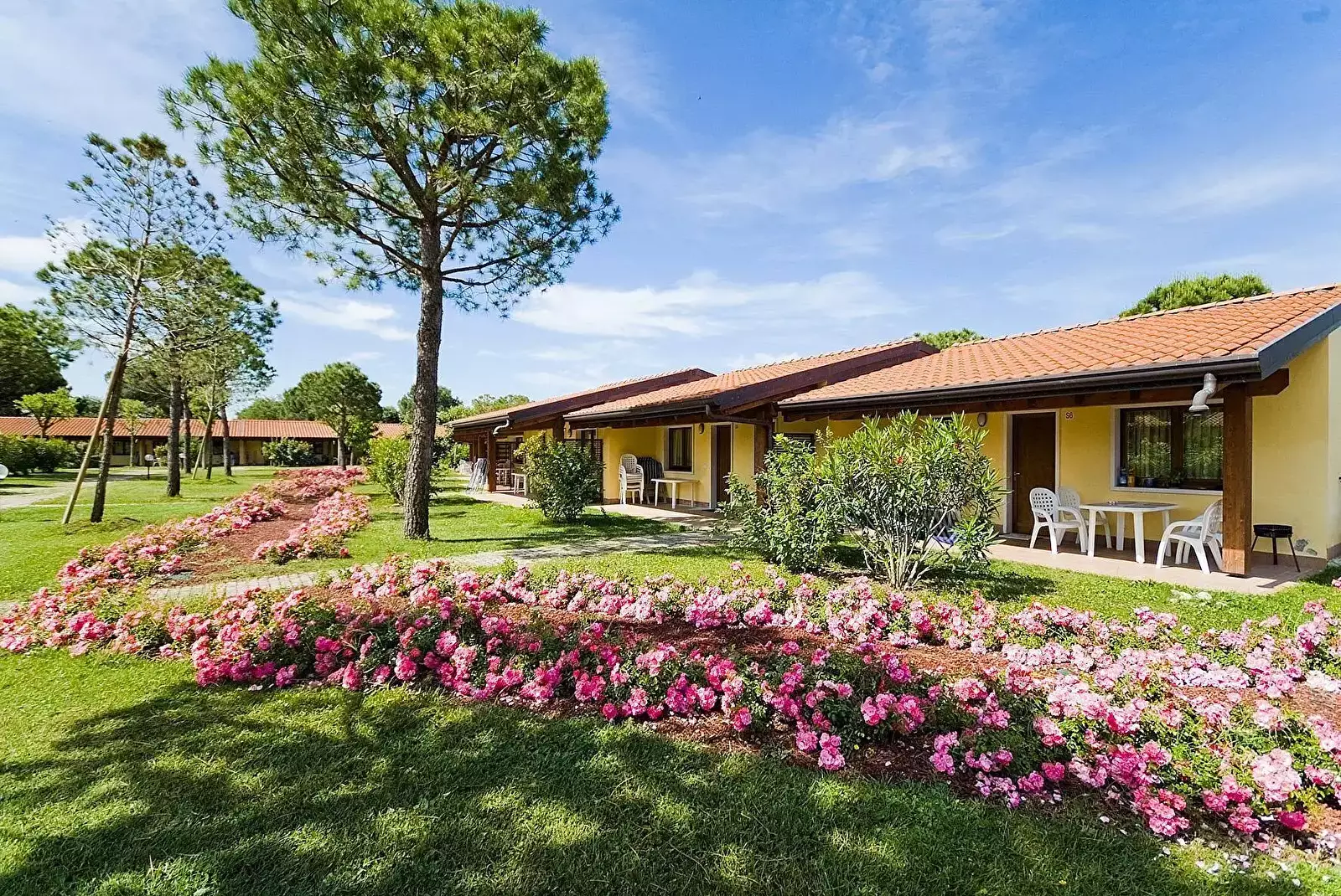 Chalet-Bungalow Campeggio del Garda