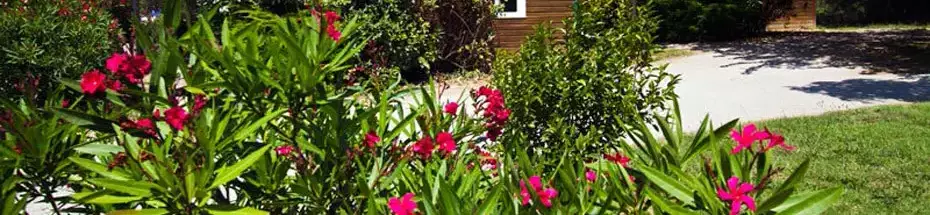 Chalet-Bungalow Camping a l'ombre des Oliviers