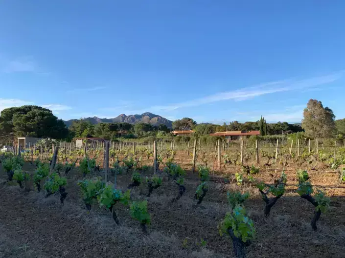 Camping Agriturismo BioElba