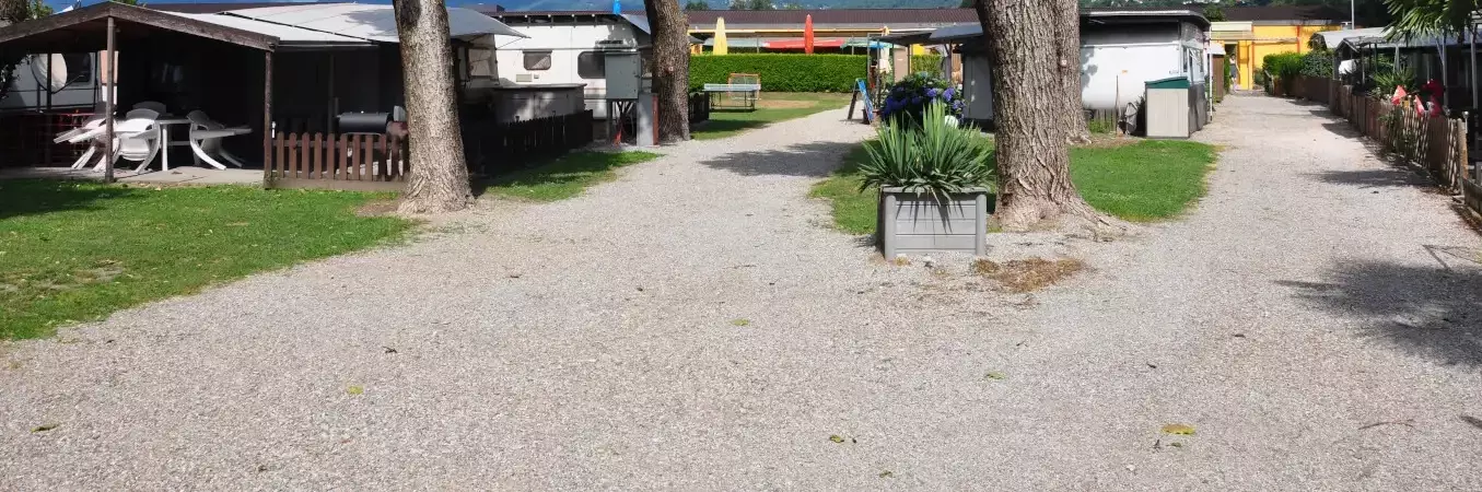 Camping Alex
