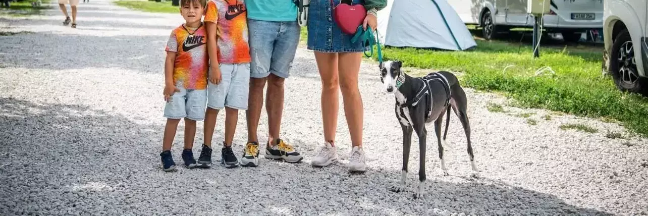 Dog friendly Camping Arena Budapest