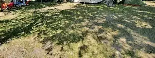 Staanplaats Camping Arvier