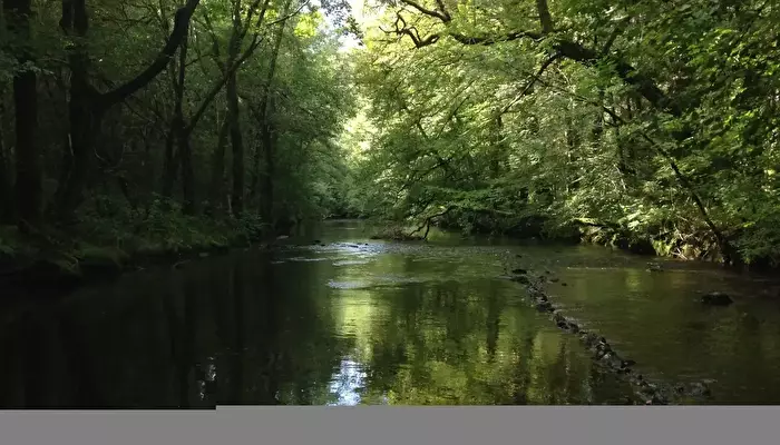Camping Au Bois De Calais.