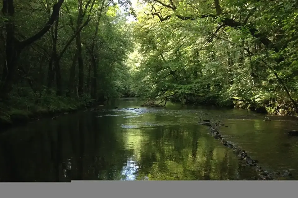 Camping Au Bois De Calais