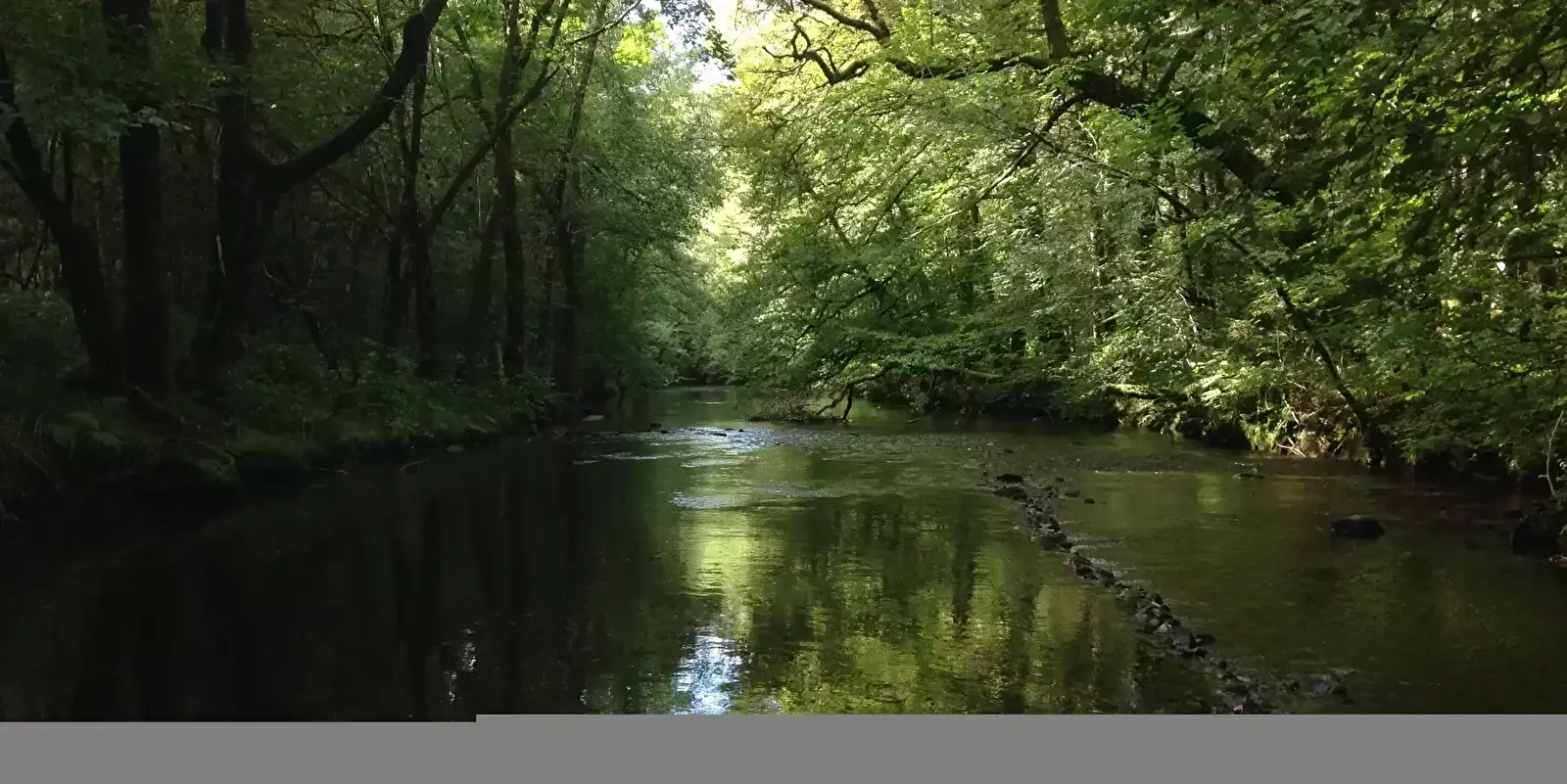 Algemeen Camping Au Bois De Calais