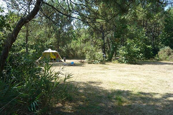 Camping Au Chene Vert In Saint Bonnet Sur Gironde France Jetcamp Com Camping Au Chene Vert In Saint Bonnet Sur Gironde France Jetcamp Com