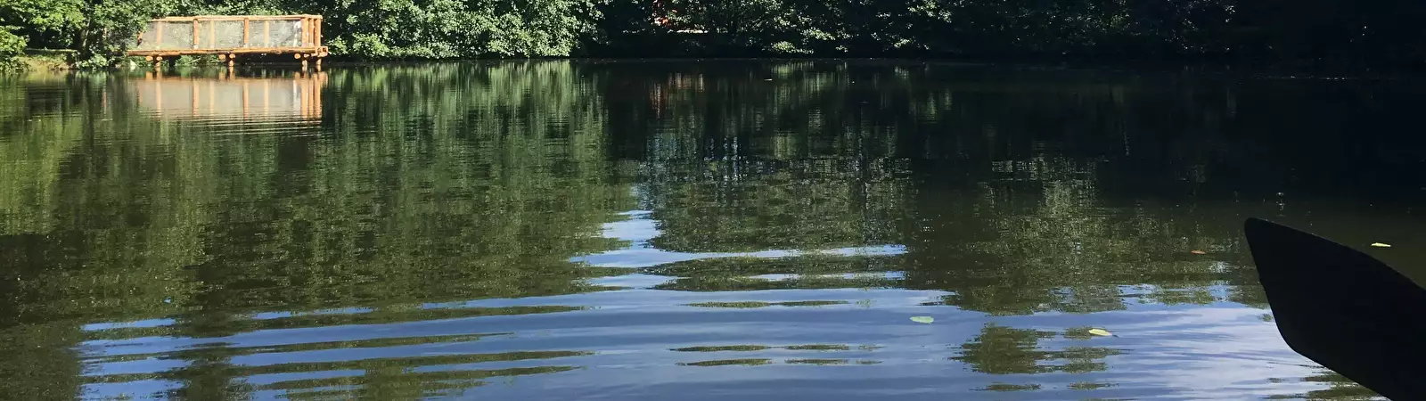 Nuotare nel fiume Camping Au Mica