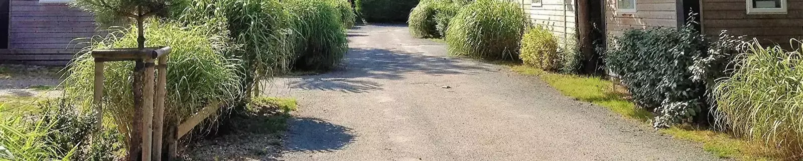 Uitzicht Camping Au Petit Port De l'Houmeau