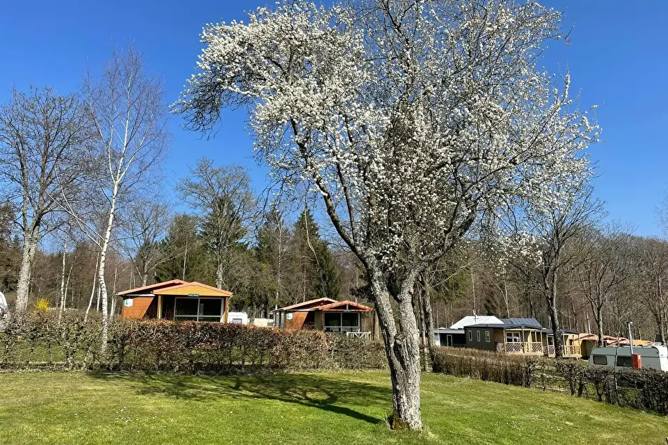 Camping Auf Kengert