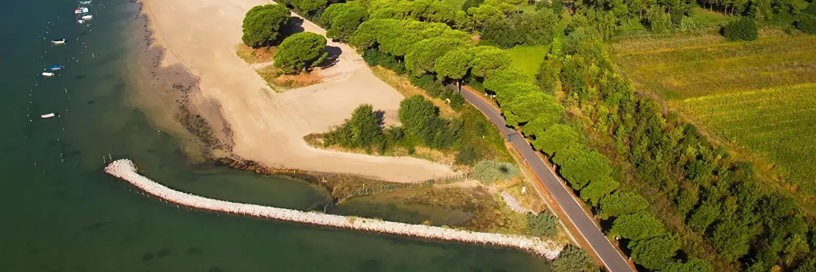 Spiaggia Camping Belvedere Pineta