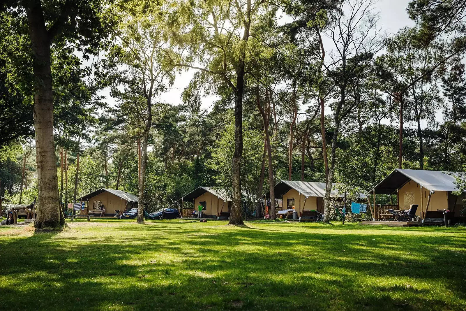 Glamping Camping Beringerzand