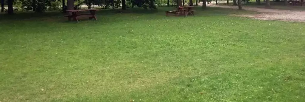 Lokalita Camping Berzu Aleja