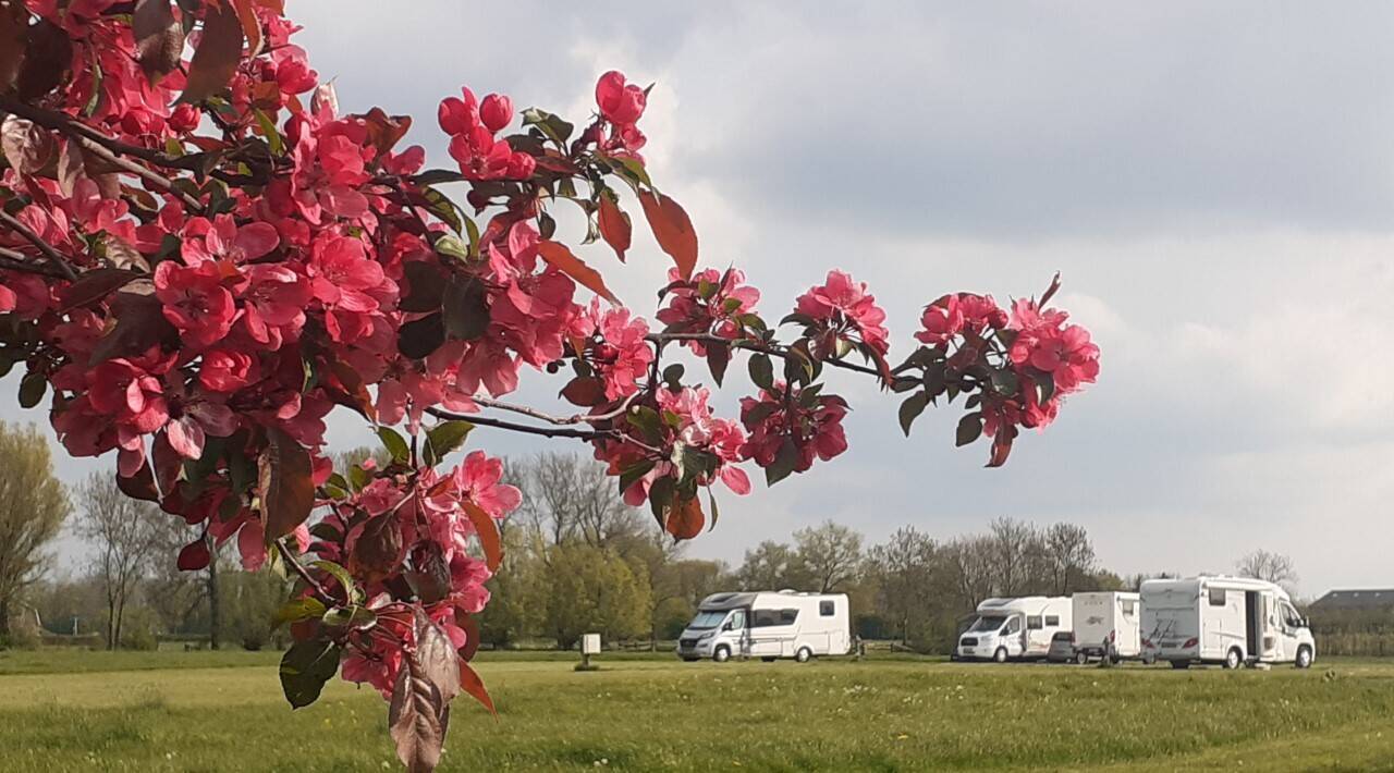 Camping Biezenhoeve in Lopikerkapel, Nederland (2025) Boek jouw