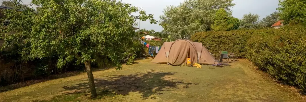 Pitch Camping Bloemenduin