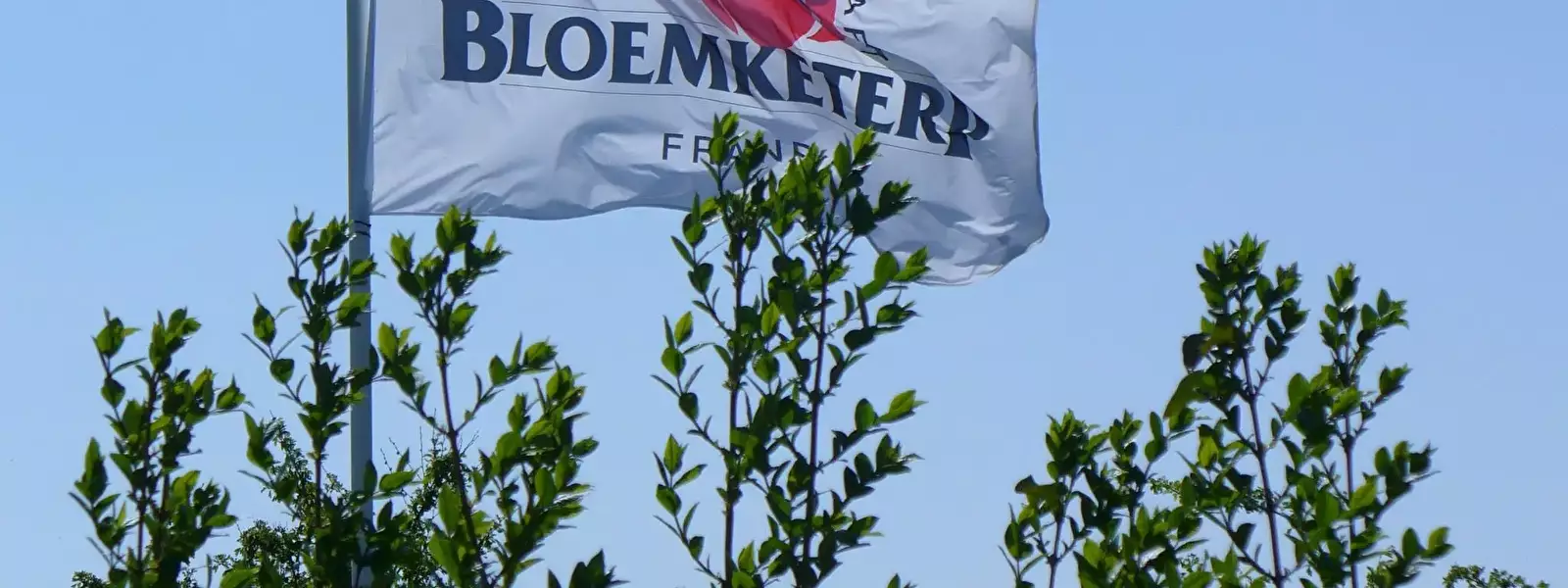 Algemeen Camping Bloemketerp