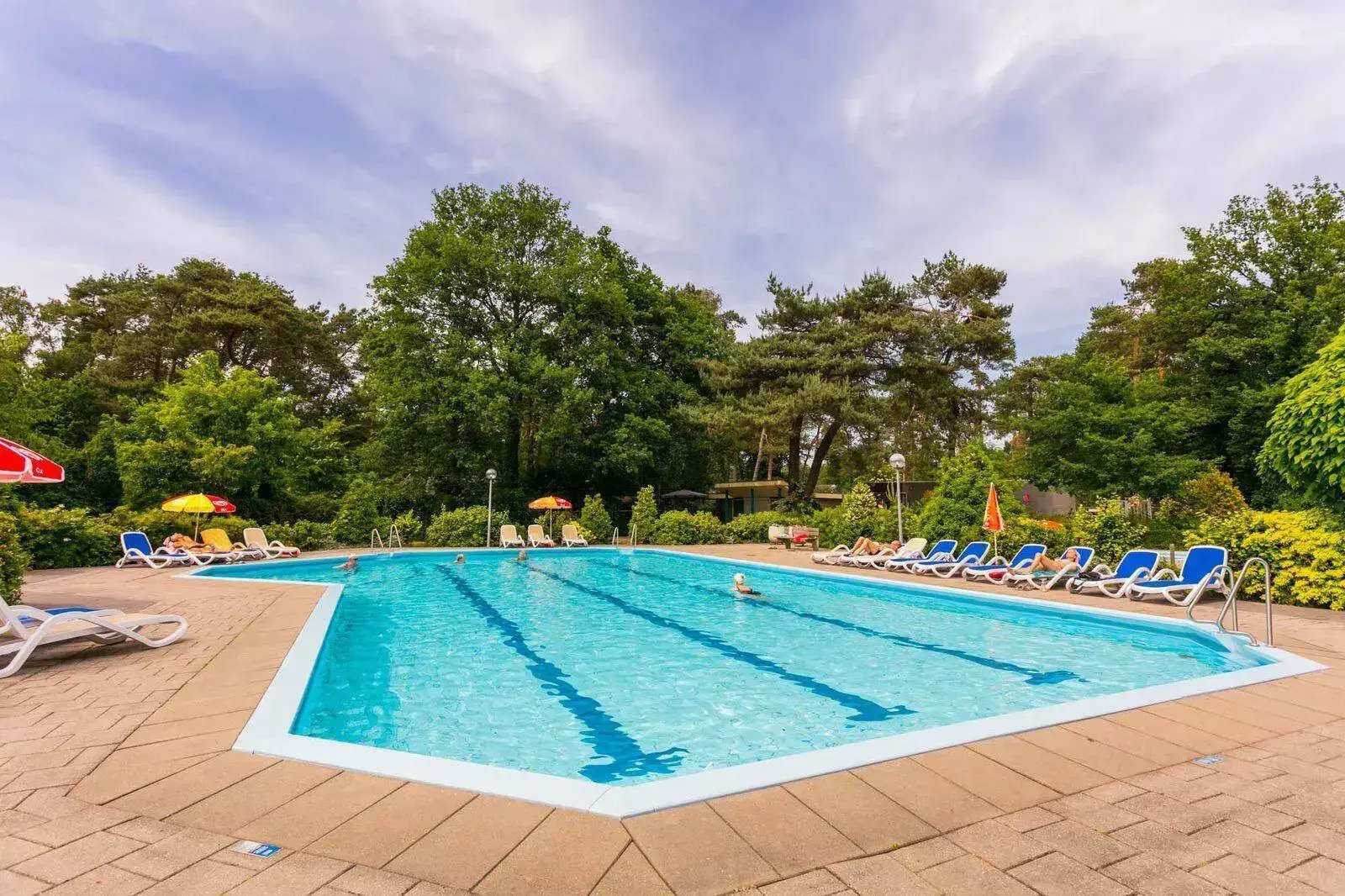 Piscina Camping Buitencentrum Hessenheem