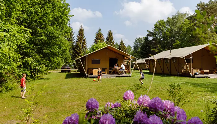 Camping Bungalowpark De Roggeberg - Rcn.