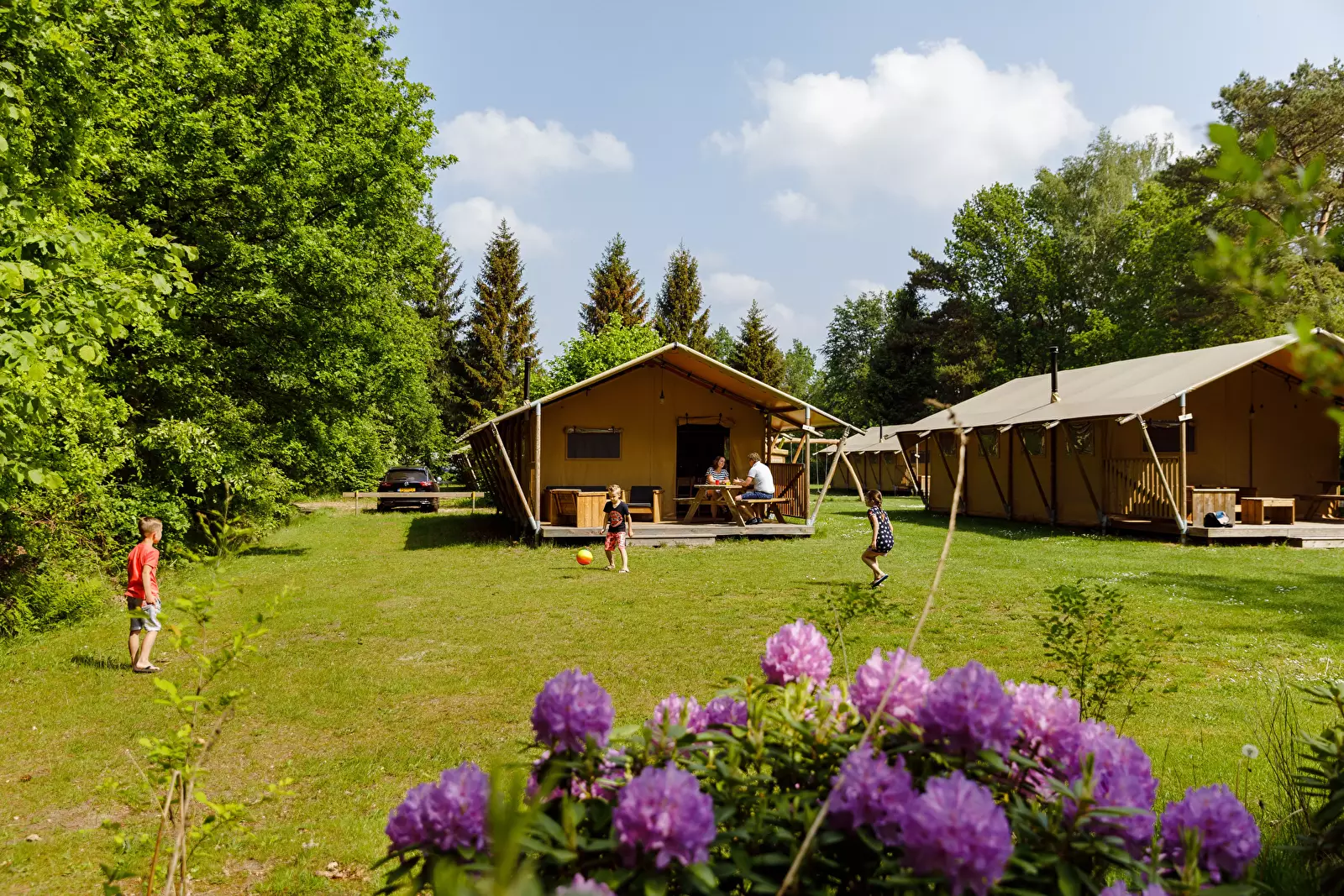 Safari tent Camping Bungalowpark De Roggeberg - Rcn