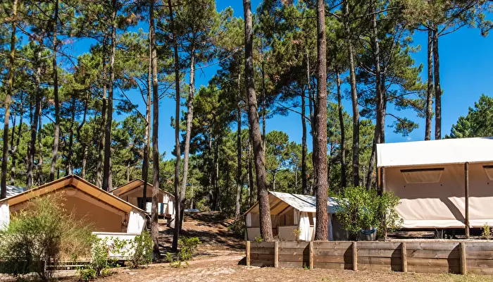 Camping Campéole Le Vivier - MS Vacances.