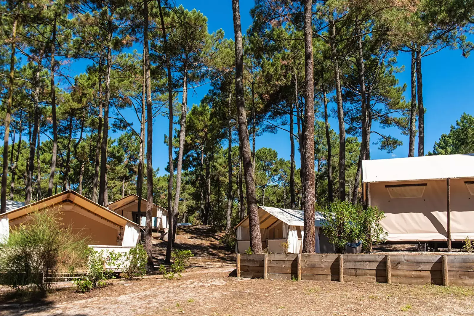 Glamping Camping Campéole Le Vivier - MS Vacances