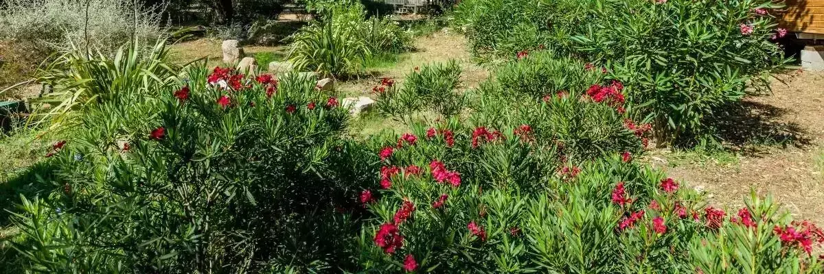 Posizione Camping Campo di Mare